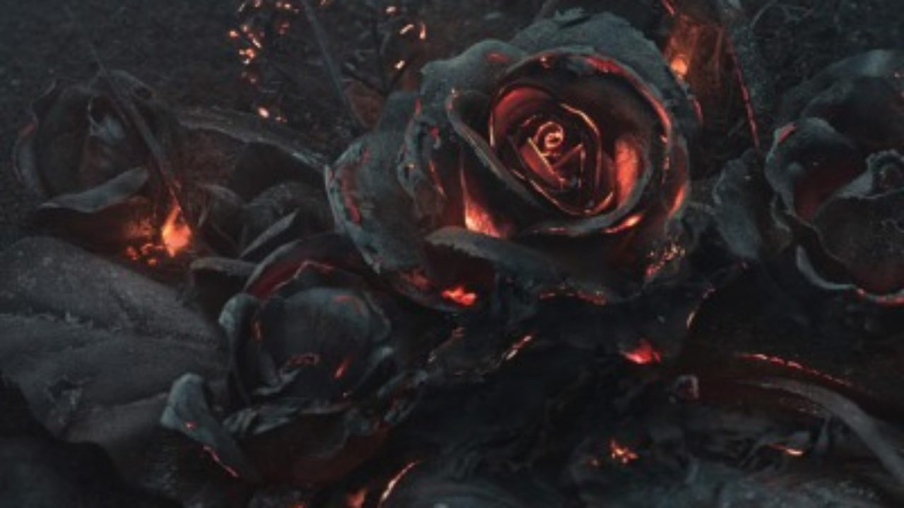 The Ash 黒薔薇と炎の芸術がゴシックで退廃的 Gothic Base